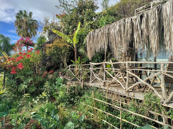 Un pont de bois rustique mène à une construction au toit de chaume, nichée au cœur d’une végétation tropicale luxuriante.