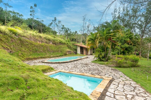 Zona de piscina con senderos de piedra y abundante vegetación.