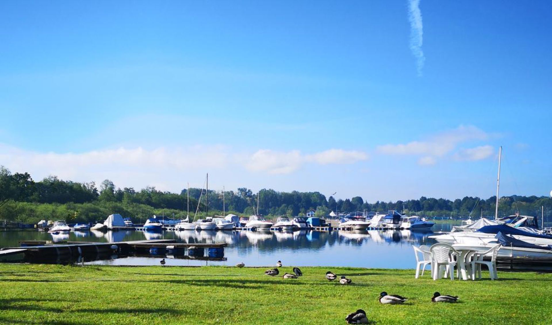 Een jachthaven met aangemeerde boten, een gazon met eenden en een heldere lucht.