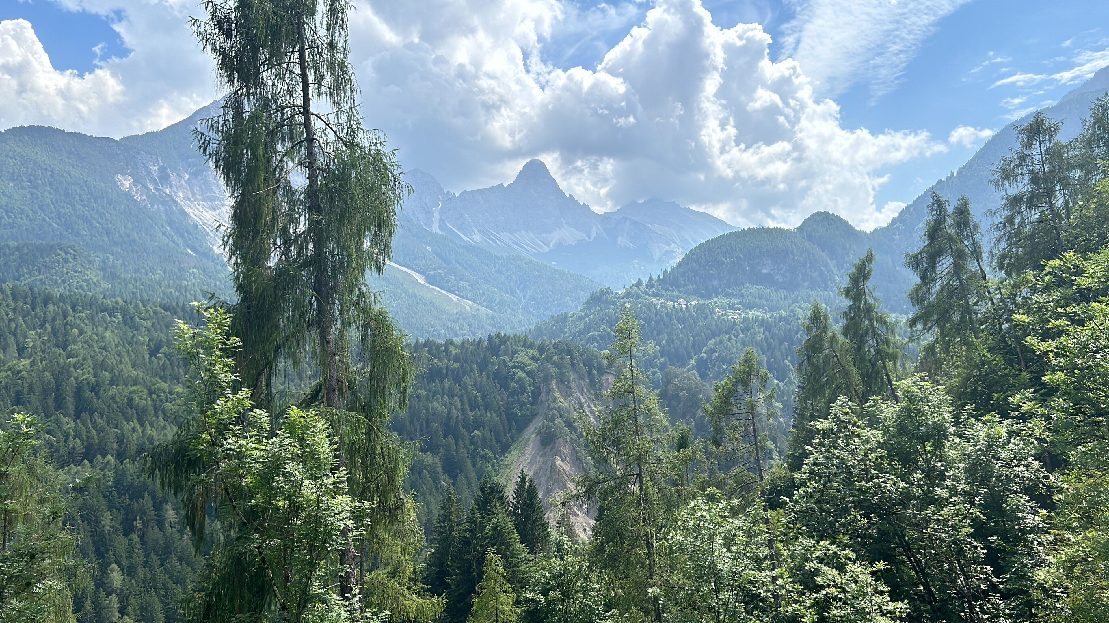 A mountainous landscape with dense forests and a prominent peak.