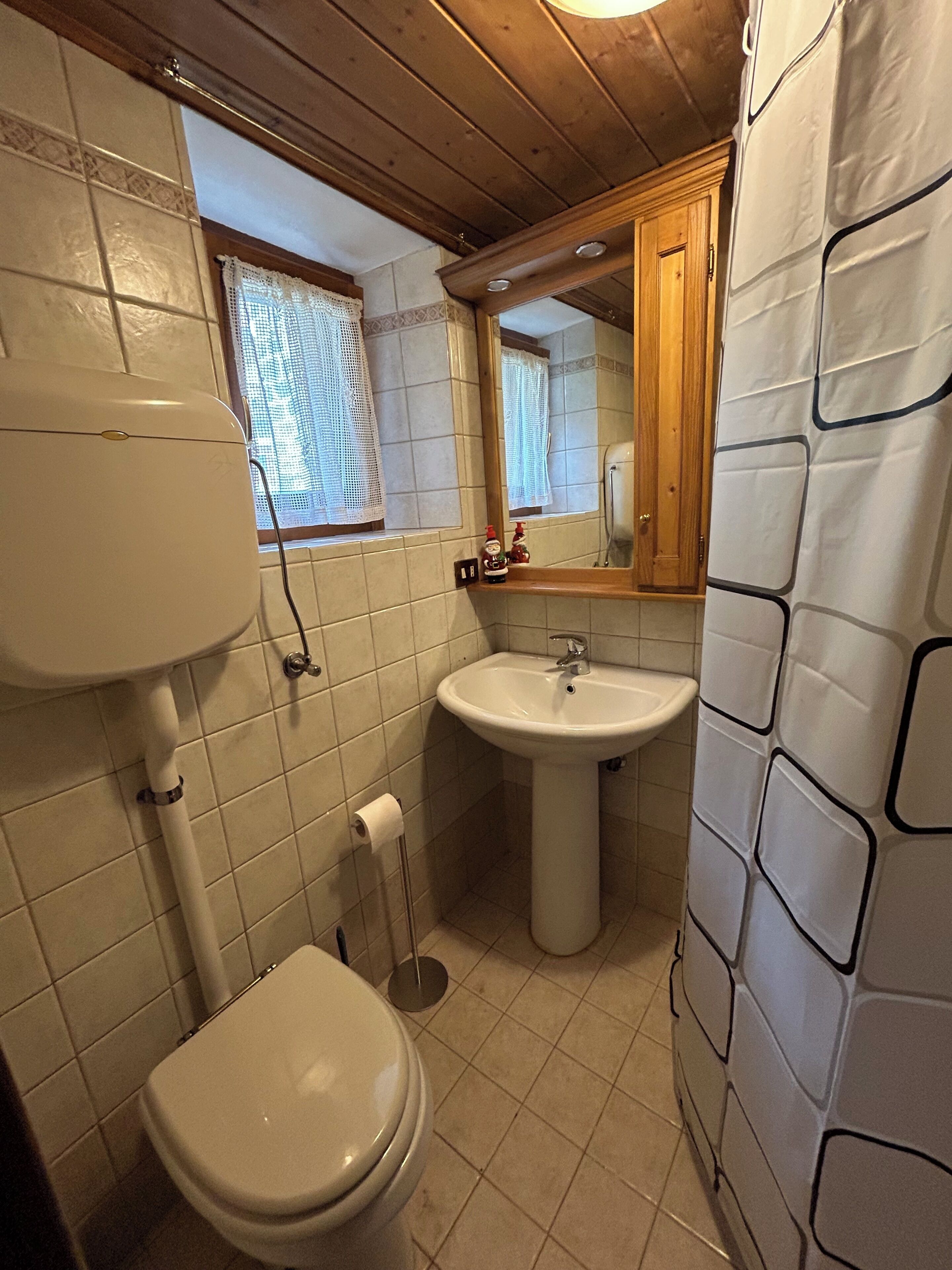 Kylpyhuone, jossa on wc, pesuallas ja ikkuna.