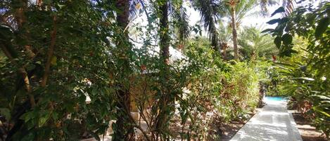 Àrea exterior de l'allotjament