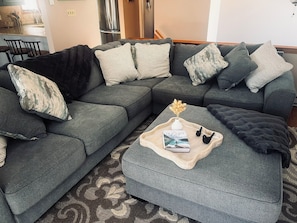 Smart TV, fireplace, books, music library