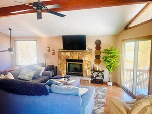 Smart TV, fireplace, books, music library