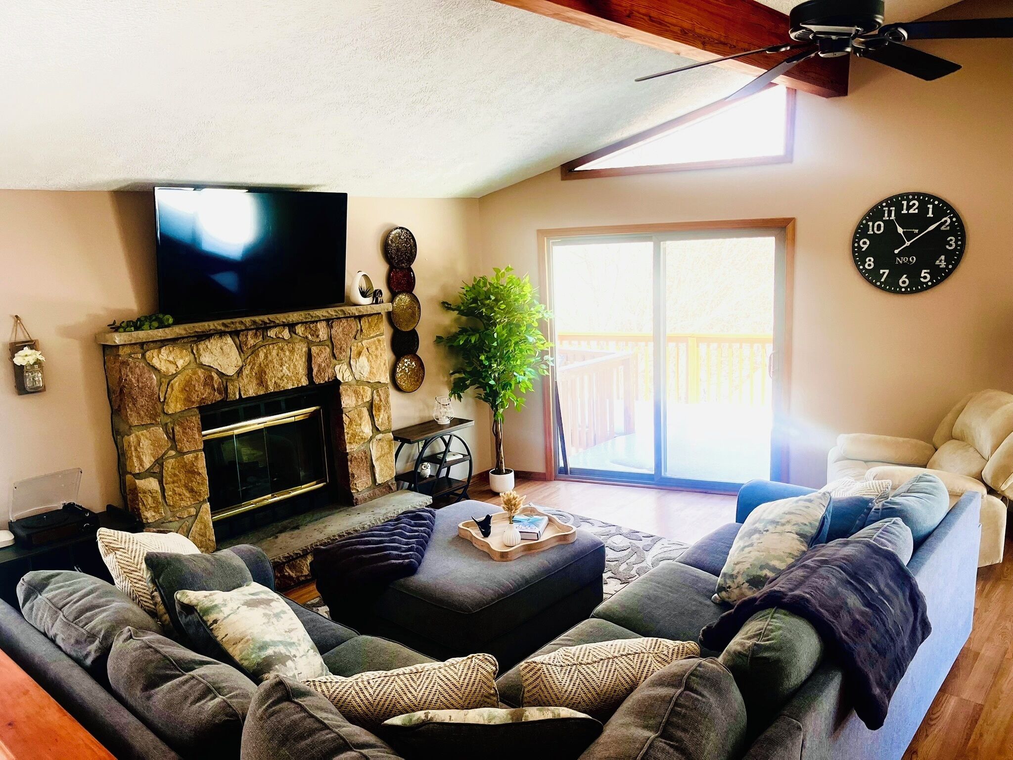 Smart TV, fireplace, books, music library