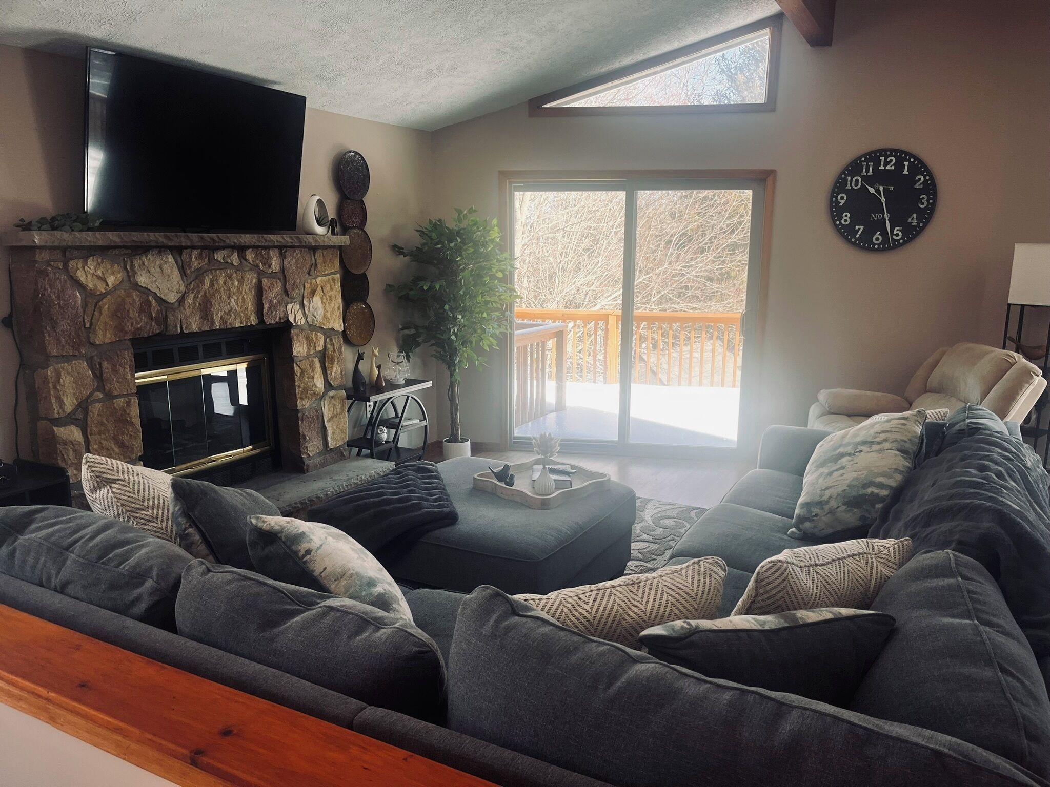 Smart TV, chimenea, libros y biblioteca musical 