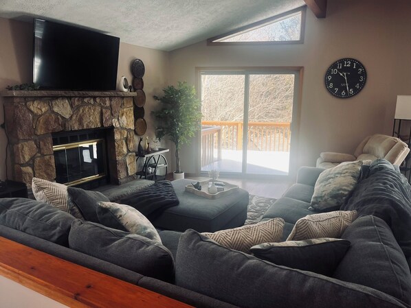 Smart TV, fireplace, books, music library