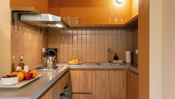 Fridge, microwave, oven, cookware/dishes/utensils