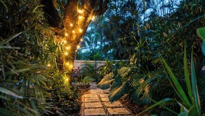 A stone pathway surrounded by lush greenery and illuminated by string lights.