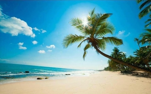 Beach