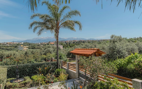 A garden with a palm tree, a tiled roof structure, and a view of distant mountains.
