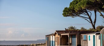 Apartment in Ars-en-Ré near Bird Sanctuary