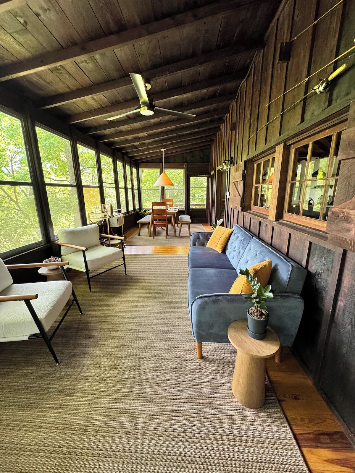 TV connectée, cheminée, livres