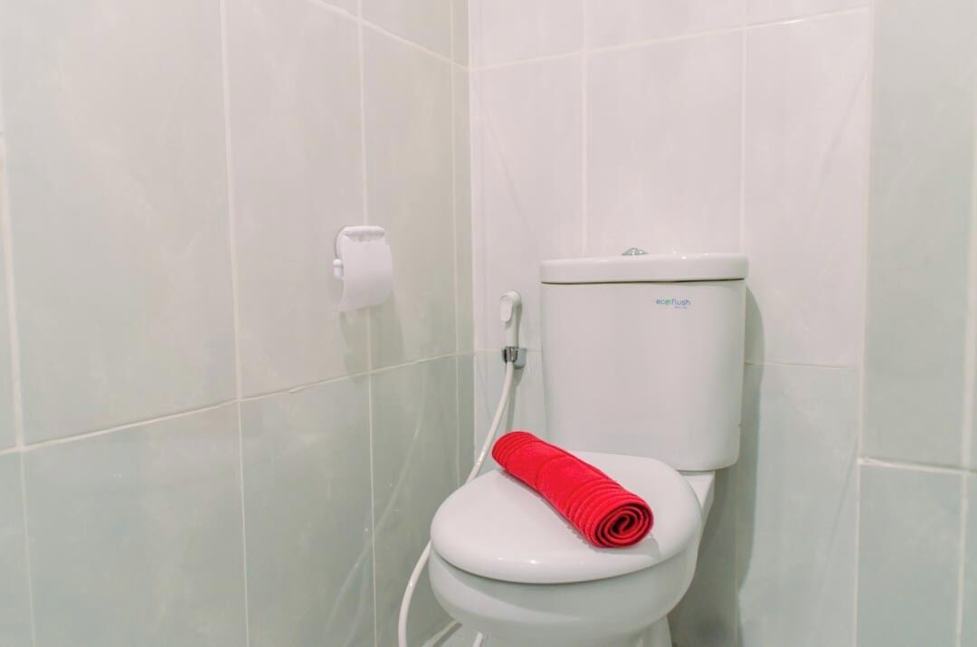 A white toilet with a red toilet paper holder and a white toilet tank labeled "ecoflush".
