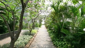 A pathway flanked by lush greenery and trees, leading towards a building. - Spacious And Good 3Br At Thamrin Residence Apartment (Jakarta)