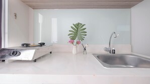 A modern kitchen with a stainless steel sink, a gas stove, and a large green plant.