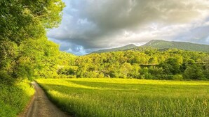 Un paysage rural avec un chemin de terre, de vastes champs verdoyants et une montagne en arrière-plan.