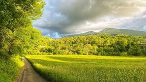 Un paysage rural avec un chemin de terre, de vastes champs verdoyants et une montagne en arrière-plan.