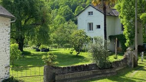 Une maison blanche avec un toit en pente, entourée d’une végétation luxuriante et d’une pelouse bien entretenue.