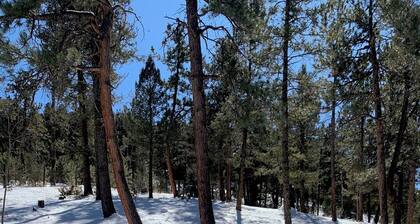 Family Mountain getaway w/ views! Close Denver, RedRocks, HOTTUB, Hiking,fishing