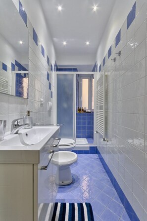 Regadera, secadora de cabello, bidet, toallas 