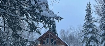Cabin in Williams MN. 10 miles to Lake of the Woods. Near Baudette and Warroad.