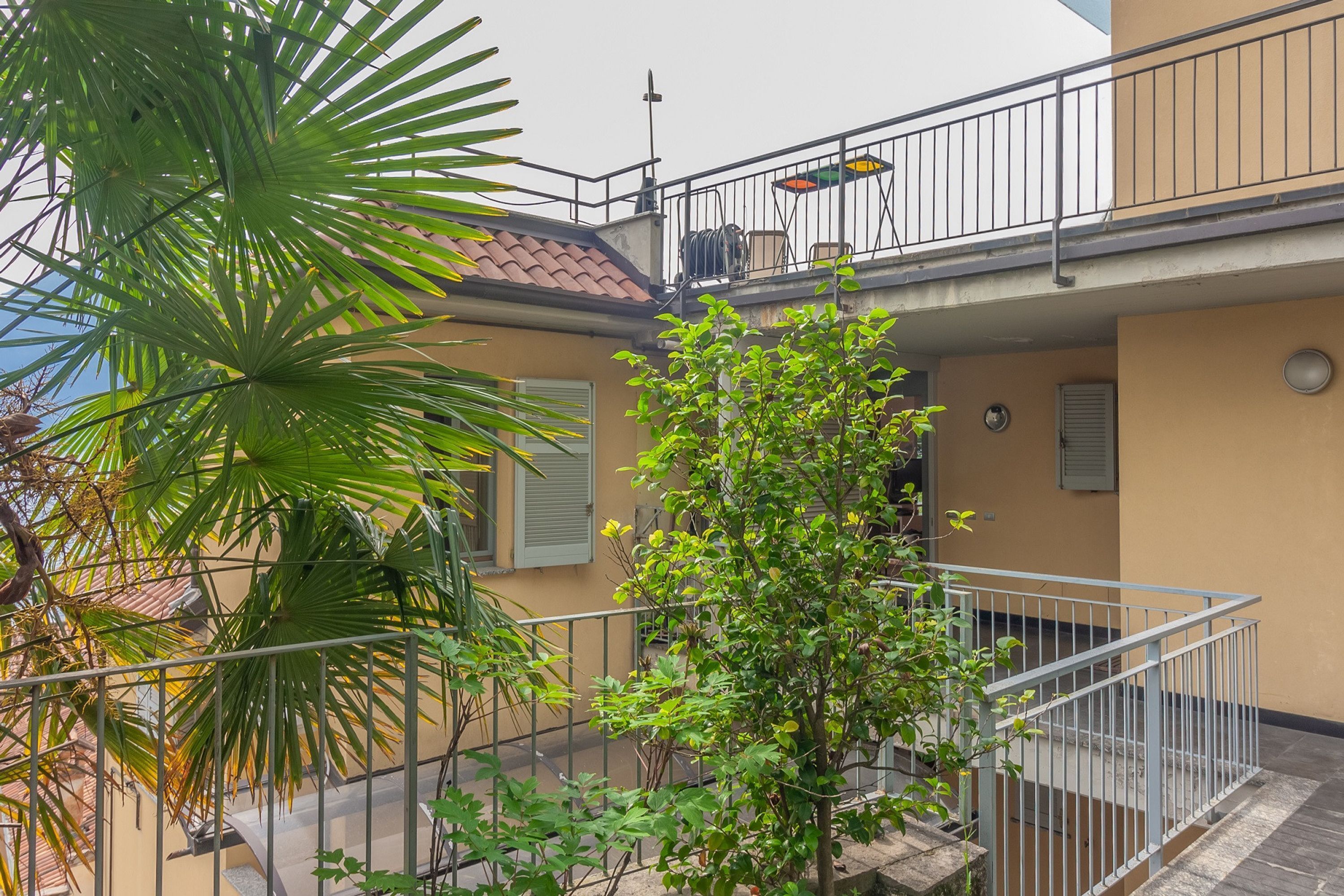 Un immeuble résidentiel doté d’un balcon, d’un palmier et d’un petit arbre.