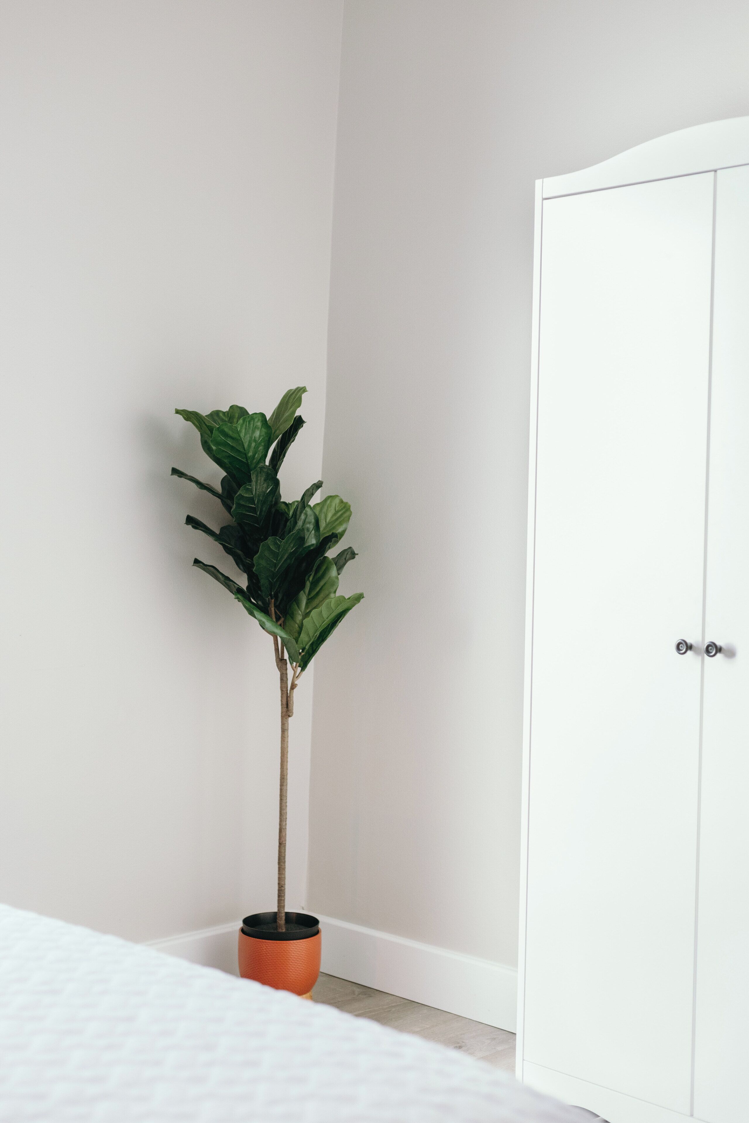 1 bedroom, desk, iron/ironing board, travel crib