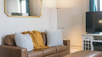 TV connectée, cheminée, livres