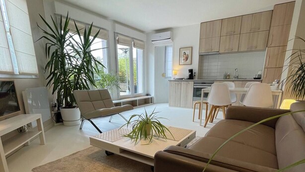 A modern living room with a sofa, coffee table, and a large plant. There is a kitchen area with cabinets and a dining table. - 2 rooms old lille, superb terrace, parking (Lille)