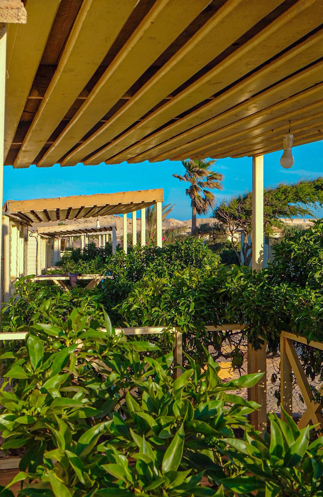 Transporte desde/hasta el aeropuerto