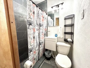 Chuveiro, secador de cabelo, toalhas de banho, sabonete