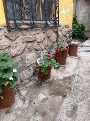 Potted plants against a stone wall with a metal gate. - Enede Hostel Cusco (Cusco)