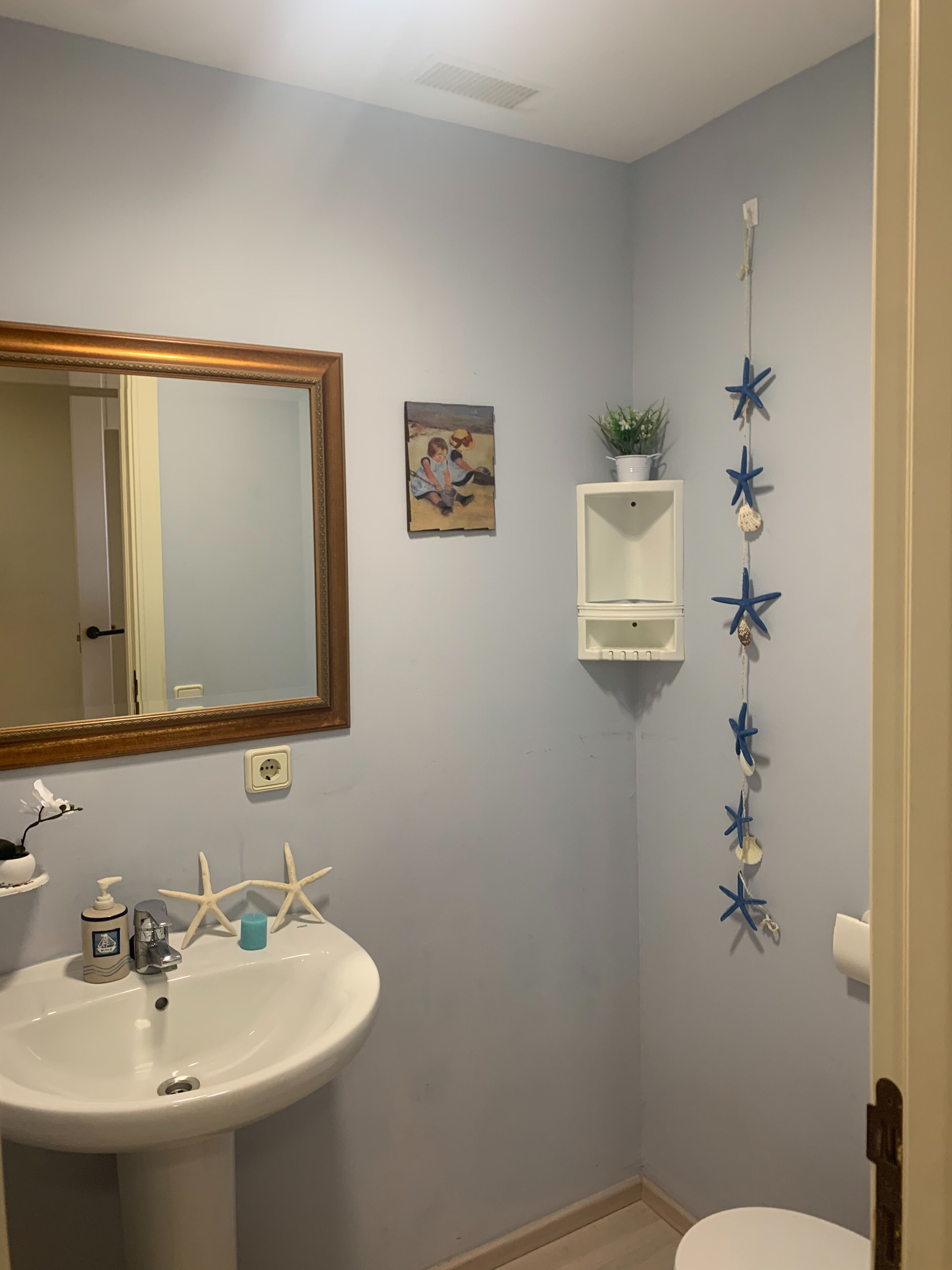 A bathroom with a white sink, a mirror, a small shelf with a plant, and starfish decorations on the wall.