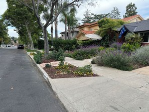 Property grounds - The Vine Studio City ☆ Cal King Bed ☆ Private Entrance ☆ Easy Street Parking (Los Angeles)