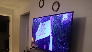 Olohuoneessa on litteänäyttöinen televisio, joka on sijoitettu puiseen telineeseen, sekä ruukussa oleva kasvi ja punottu kori.
