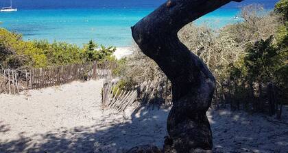 Evasion secrÚte avec vue sur de l'étang de Diana
