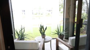 Una habitación con puerta de vidrio que da a un espacio exterior. Hay dos plantas en macetas sobre una pequeña mesa redonda y un sofá blanco.