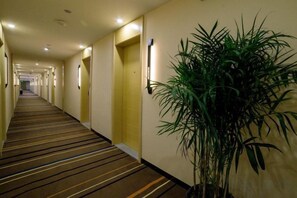A hotel corridor with carpeted floors, doors, and a potted plant. - Yingdong Motel (Shanghai)