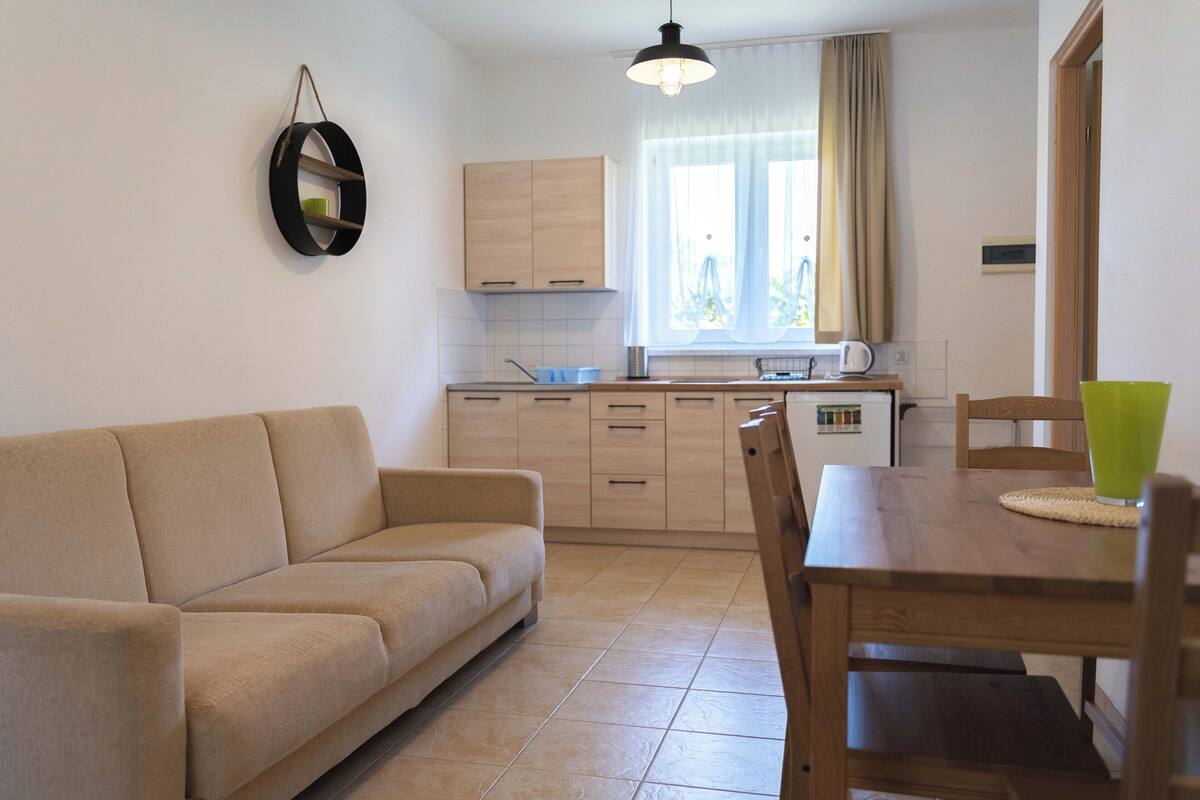 A compact living space with a sofa, a dining table with chairs, a kitchen area with cabinets and a window.