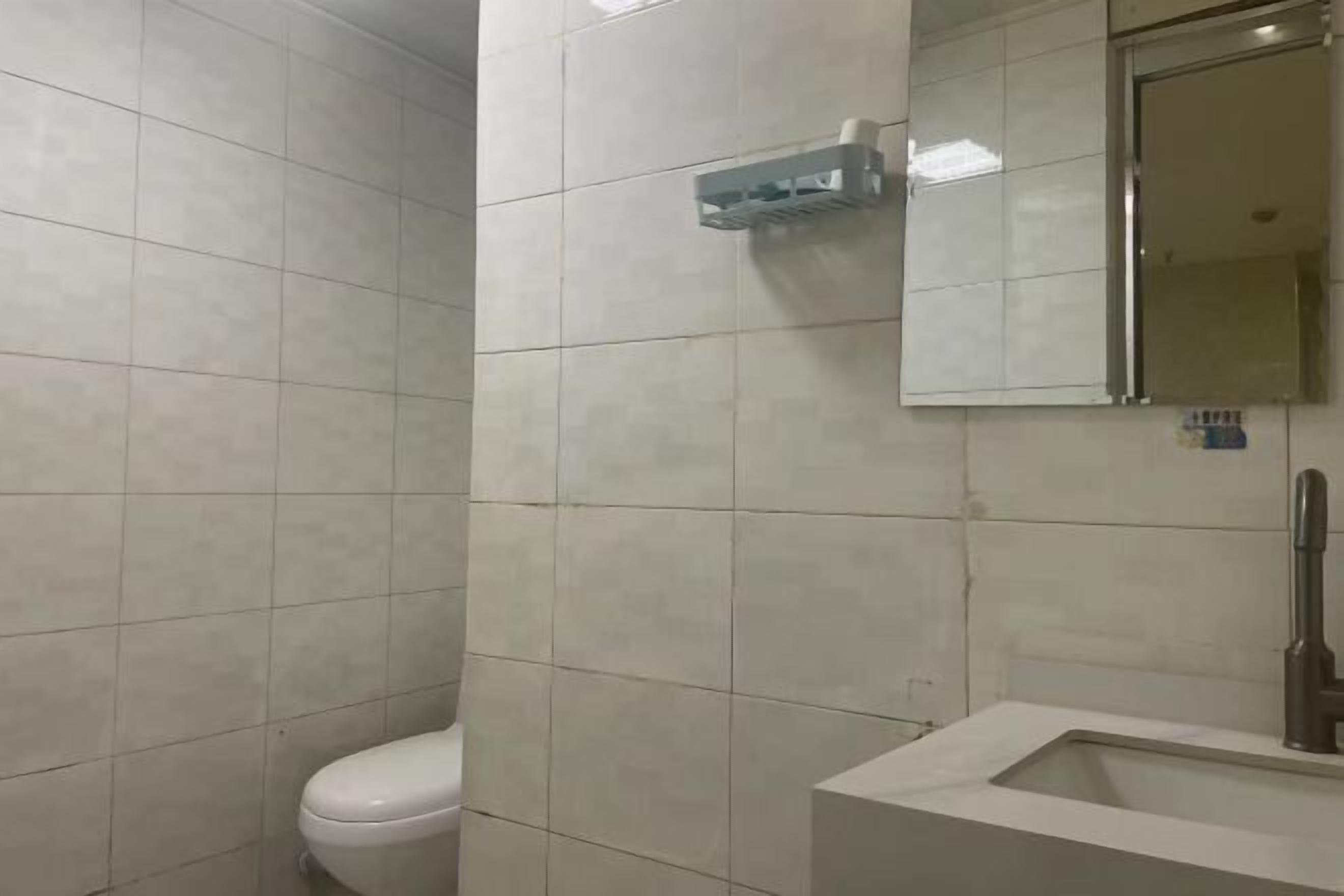 A bathroom with a toilet, a sink, and a mirror.