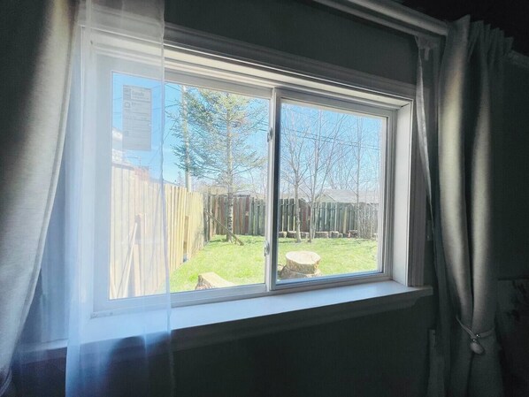 A window with a view of a backyard, including a wooden fence and trees.