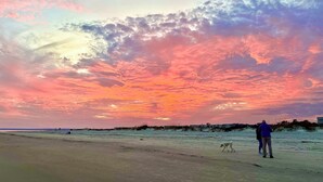 A beach with a sunset, a dog, and people walking.