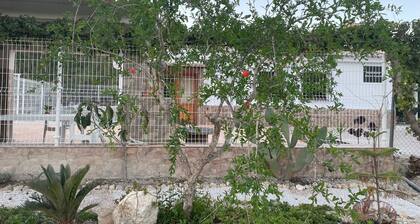 Sierra Espuña Rural House surrounded by nature (pet friendly)