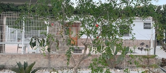 Sierra Espuña Rural House surrounded by nature (pet friendly)