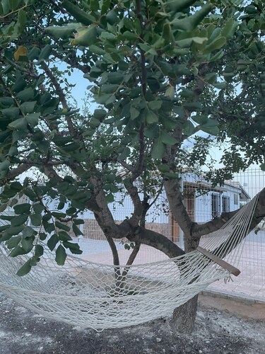 Sierra Espuña Rural House surrounded by nature (pet friendly)