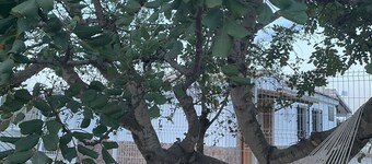 Sierra Espuña Rural House surrounded by nature (pet friendly)