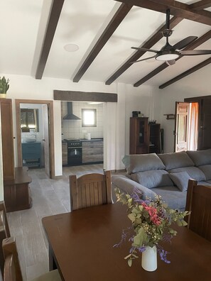 TV connectée, cheminée