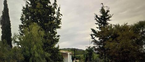 Un área resguardada por una cerca, con un edificio al fondo y rodeada de árboles altos.