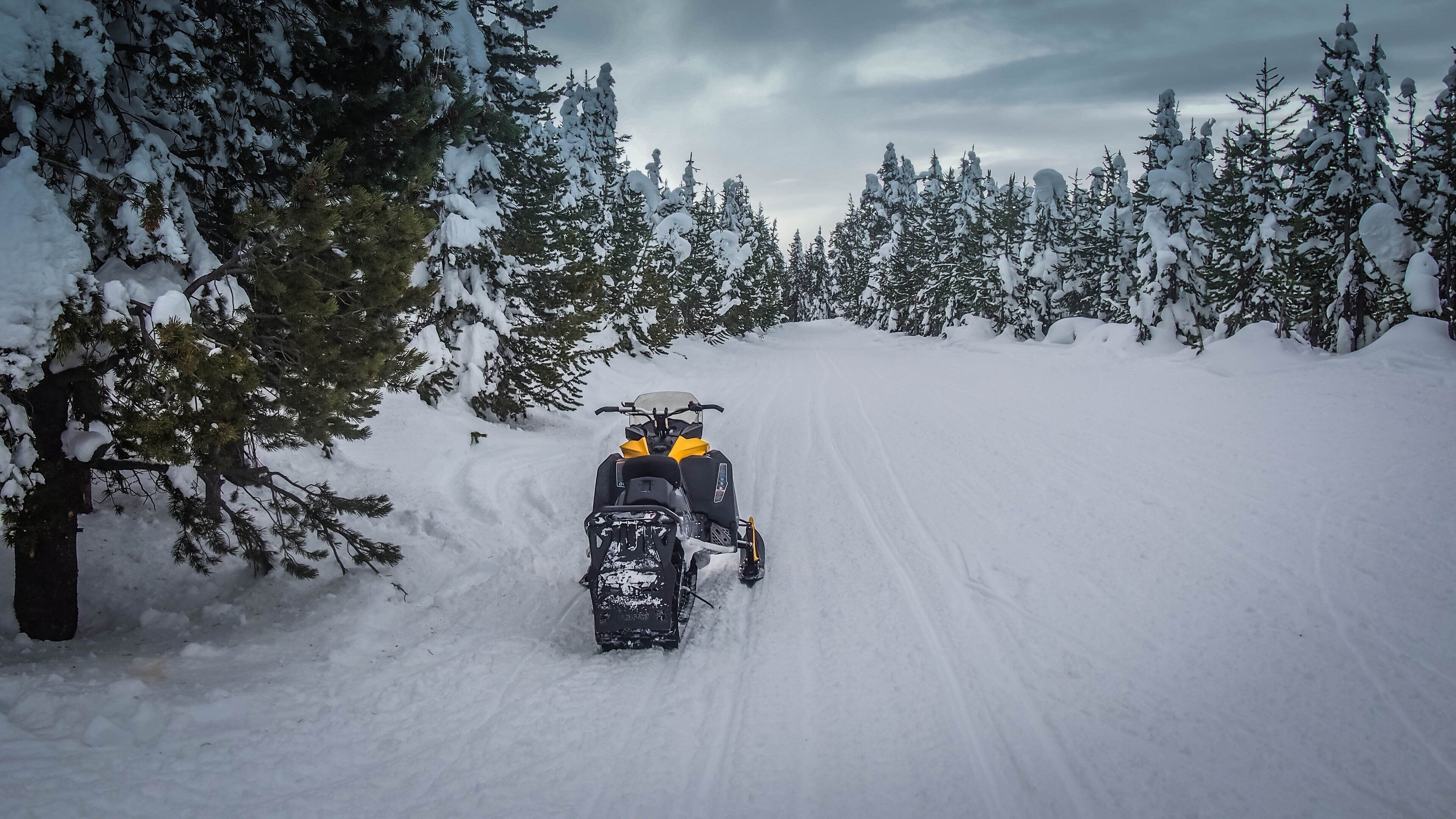 Uma moto de neve em uma estrada coberta de neve, rodeada por árvores com neve.